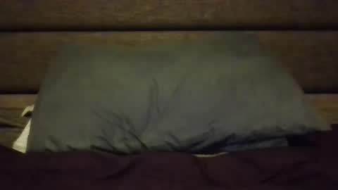 Nerfylil online show from 01/08/26, 04:37