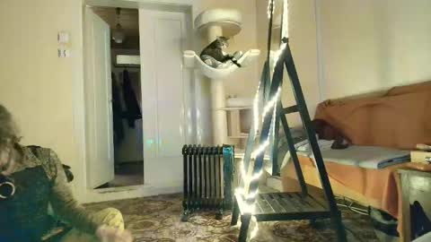 Snapshot of nessieanalemma chatting on 02/05/26, 12:43 nessieanalemma online show from 02/05/26, 12:43