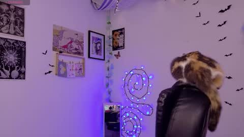 Snapshot of neurotic_witch chatting on 02/03/26, 05:38 Mar online show from 02/03/26, 05:38