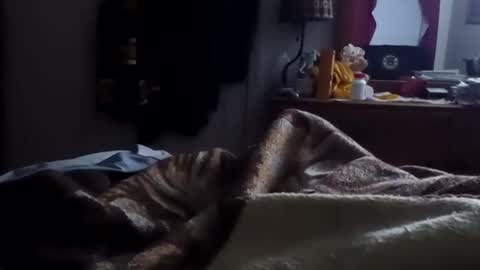 Matt online show from 01/15/26, 10:31