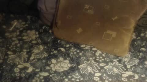 Lilly  online show from 11/28/25, 04:37