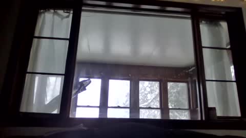 Newguy81240 online show from 01/23/25, 03:54