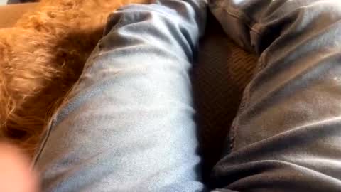 Snapshot of newjerseyhorny chatting on 12/15/24, 07:10 newjerseyhorny online show from 12/15/24, 07:10