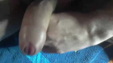 ni983 online show from 12/19/24, 03:08