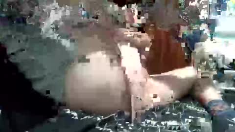 nic2nite online show from 02/04/26, 11:53