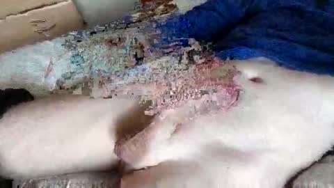 nice_dicknballs online show from 05/02/26, 10:09