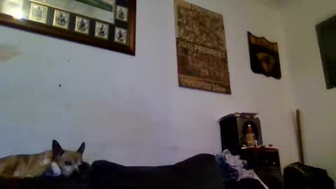 Sexiishaine online show from 02/13/25, 10:00