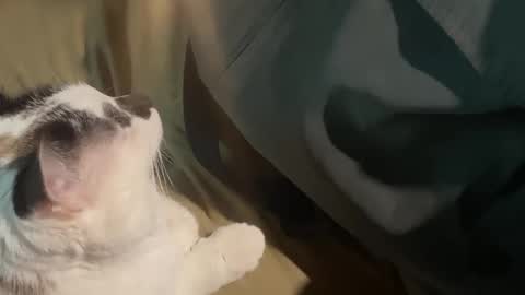 Snapshot of nick_and_bennie chatting on 09/19/25, 02:46 Nick f and Bennie m online show from 09/19/25, 02:46