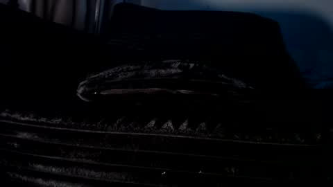 Cakedcouple  OF - Yourtattedcutie  qurlynfit online show from 09/21/25, 06:20