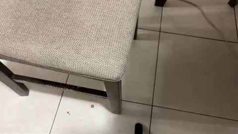 Snapshot of nicocar83 chatting on 03/14/26, 08:31 Carlos Nico online show from 03/14/26, 08:31