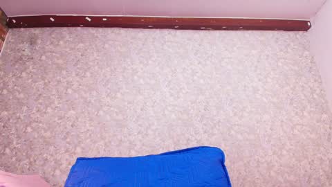 Nicol online show from 01/24/25, 07:39