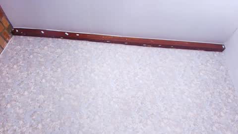 Nicol online show from 11/21/25, 03:05