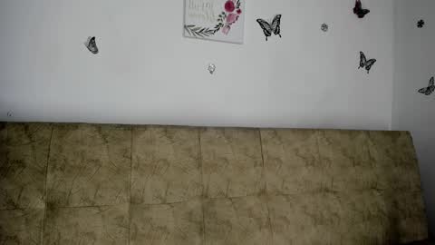 Nicol online show from 12/07/24, 09:17