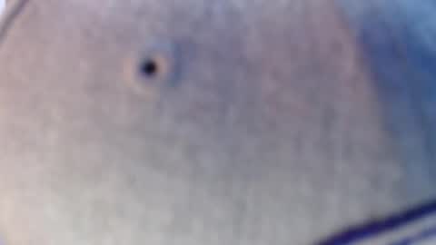 nicolas online show from 12/12/24, 07:19