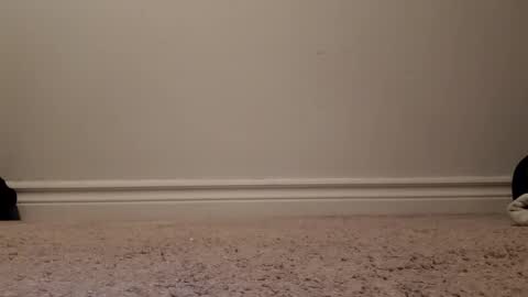 Snapshot of nicoleandbrian chatting on 12/31/24, 09:06 nicoleandbrian online show from 12/31/24, 09:06