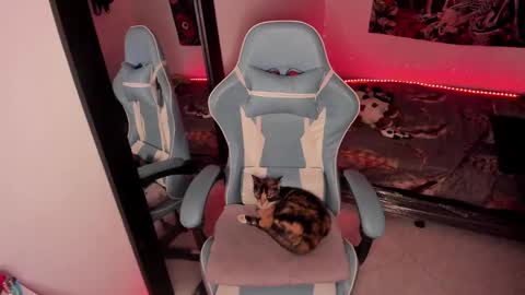 Nicol independent model online show from 01/14/25, 02:29