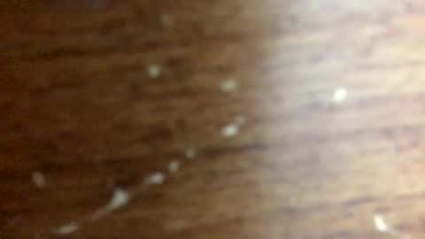 nightmoves1970 online show from 11/20/25, 02:34