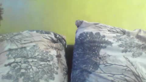 Snapshot of niki303424 chatting on 03/04/26, 07:58 niki303424 online show from 03/04/26, 07:58