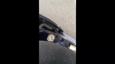 Snapshot of nikivega4u chatting on 03/07/26, 12:24 nikivega4u online show from 03/07/26, 12:24