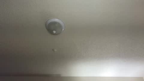 Nikki Mastersgirl1091 online show from 02/11/25, 10:48