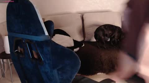 Snapshot of nikolos_vise chatting on 01/29/25, 09:28 Nikolos online show from 01/29/25, 09:28