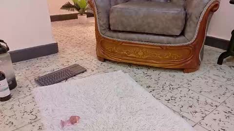  NIKY SMIT  online show from 02/16/25, 02:43