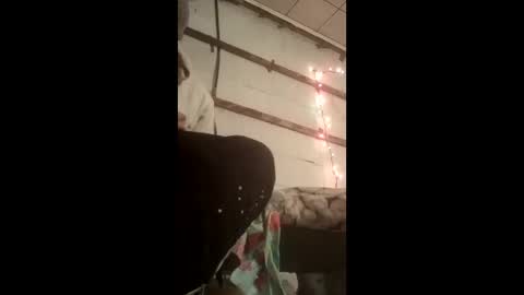 Snapshot of nillapuddin2 chatting on 01/19/26, 12:47 nillapuddin2 online show from 01/19/26, 12:47