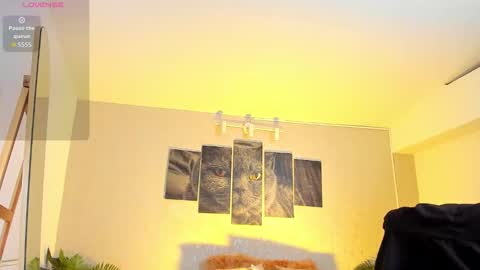 Snapshot of nils_saint chatting on 02/07/26, 04:49 Nils online show from 02/07/26, 04:49