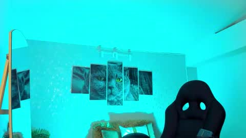 Snapshot of nils_saint chatting on 02/20/26, 06:48 Nils online show from 02/20/26, 06:48