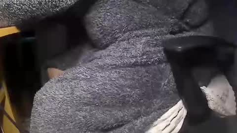 nineinchhard online show from 12/09/24, 08:00