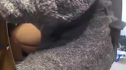 nineinchhard online show from 12/18/24, 10:19