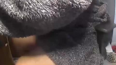 nineinchhard online show from 12/21/24, 11:55