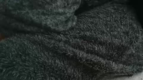 nineinchhard online show from 09/14/25, 08:46