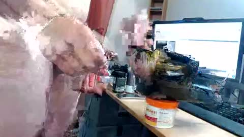 ninetynine_99 online show from 06/17/26, 05:25