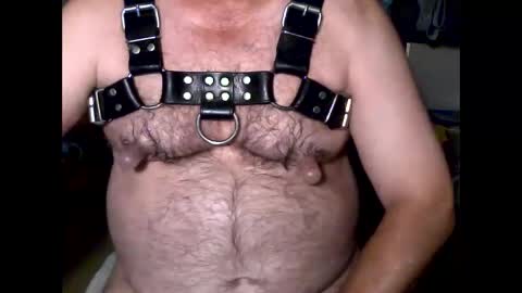 Snapshot of nipplay65 chatting on 02/17/26, 07:49 nipplay65 online show from 02/17/26, 07:49