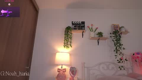 noah__23 online show from 06/20/26, 11:07