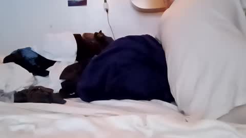 Snapshot of noah_wesley chatting on 01/18/25, 02:12 Noah Wesley online show from 01/18/25, 02:12