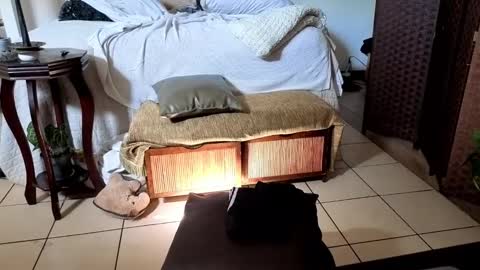 Snapshot of nobudget06 chatting on 02/16/25, 04:42 nobudget06 online show from 02/16/25, 04:42