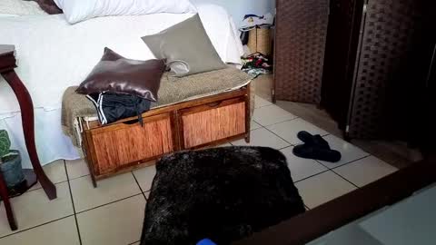 Snapshot of nobudget06 chatting on 02/25/25, 11:00 nobudget06 online show from 02/25/25, 11:00