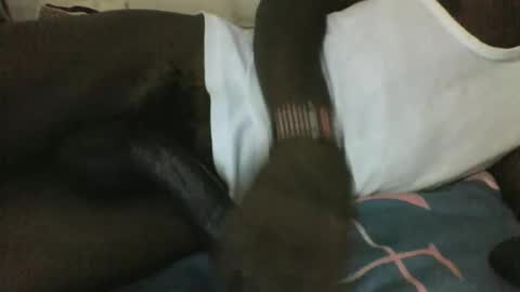 noella1234 online show from 03/29/26, 11:16