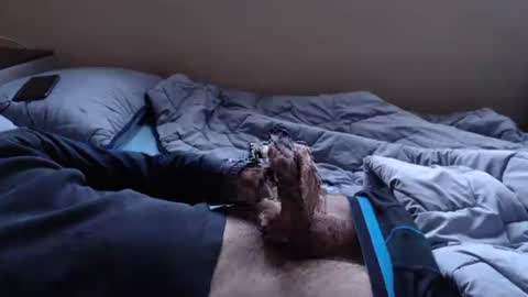 noksha online show from 01/19/25, 03:10