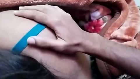 Snapshot of nooby942461 chatting on 12/26/24, 06:52 sim nib online show from 12/26/24, 06:52