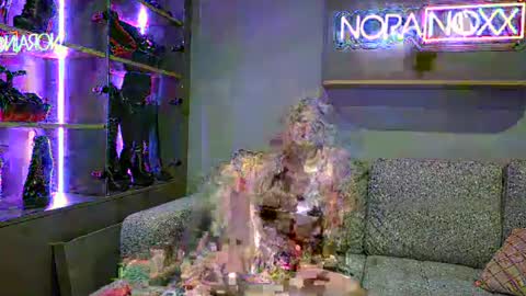 NoraNoxx online show from 06/24/26, 09:58