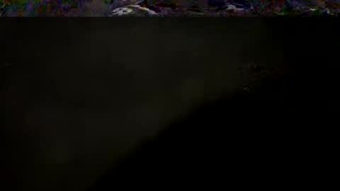 Snapshot of nousernamehello chatting on 05/04/26, 03:02 DarqLight online show from 05/04/26, 03:02