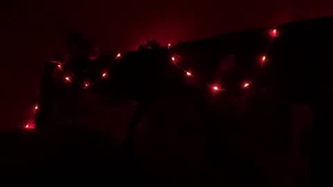 Snapshot of nova21127 chatting on 10/19/25, 02:45 NOVA online show from 10/19/25, 02:45