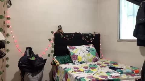 Snapshot of nova21127 chatting on 10/19/25, 03:34 NOVA online show from 10/19/25, 03:34