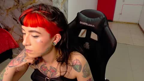 Nova kitty tx online show from 02/20/26, 09:48