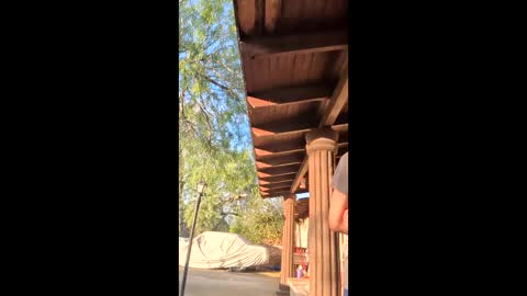 novasociaexperimenc online show from 12/22/25, 10:51