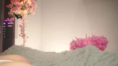 Dina online show from 11/07/25, 01:38