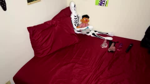 Nymphaea online show from 11/14/25, 12:31